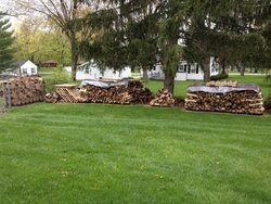 Wood stack progress