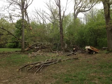 [Hearth.com] BIG white oak came down this week