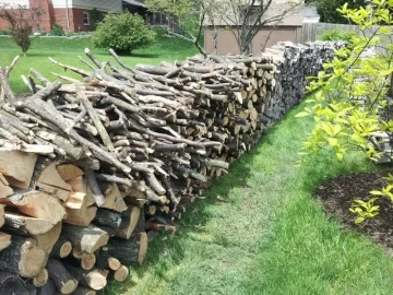 [Hearth.com] Honey Locust score