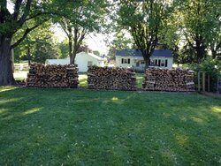 Wood stack progress