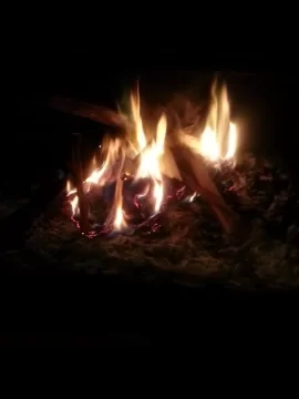 [Hearth.com] lazy mans fire