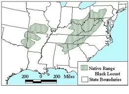 [Hearth.com] Black Locust score