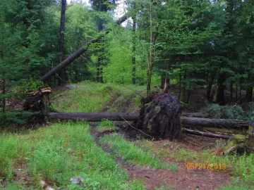 [Hearth.com] Tree Storm Damage