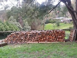 Help needed with covering wood stacks - Plastic.