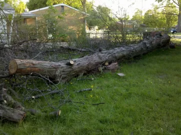 [Hearth.com] Splitting bitternut hickory? Kicking my butt!!