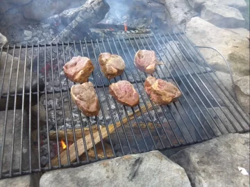 [Hearth.com] firepit filets........