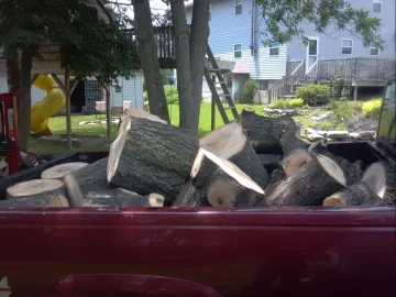 [Hearth.com] So I'm out giving tree removal estimates yesterday and......