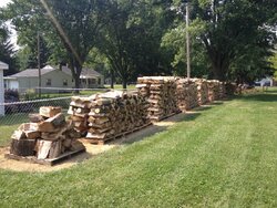 Progress report on my wood stacks