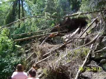 [Hearth.com] Swallow Falls MD - Sandy Damage