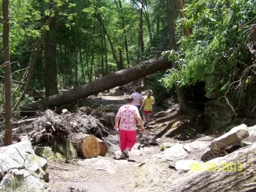 [Hearth.com] Swallow Falls MD - Sandy Damage