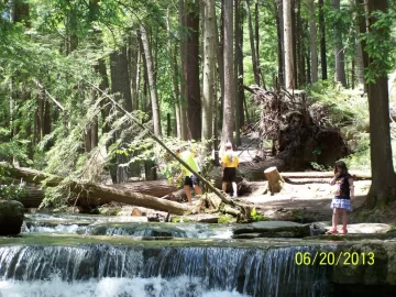 [Hearth.com] Swallow Falls MD - Sandy Damage