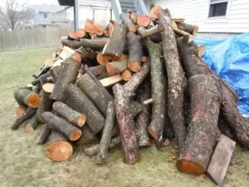 [Hearth.com] Can I join the wood hoarder's club now?