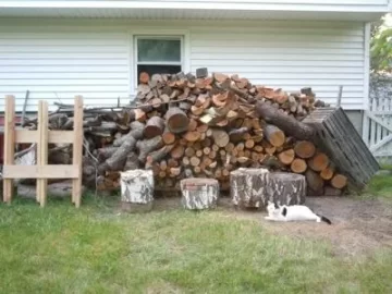 [Hearth.com] Can I join the wood hoarder's club now?