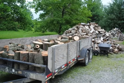 [Hearth.com] Cut a small load today, Norway Maple?