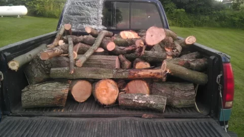 [Hearth.com] Another load from the farm.  pics.  Wood Id.