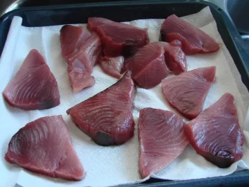 [Hearth.com] TUNA Catch!