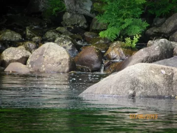 [Hearth.com] Pics from our time on the boat