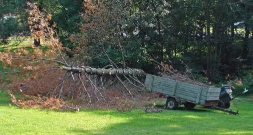 [Hearth.com] Pine Sap Cleanup