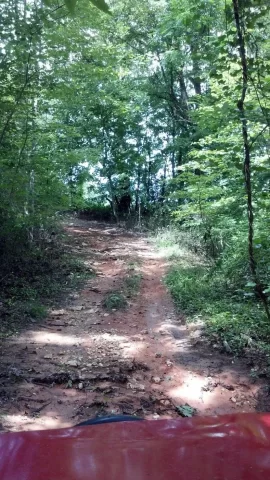 [Hearth.com] The Walking Trail