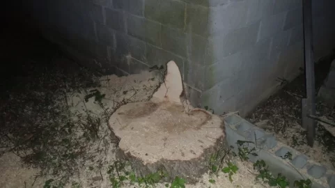 [Hearth.com] What to do with this stump?????