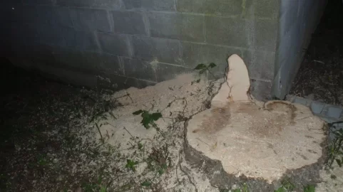 [Hearth.com] What to do with this stump?????