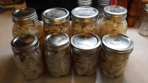 [Hearth.com] Pickled Fish