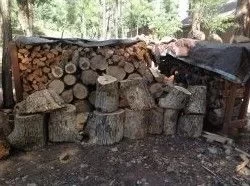 [Hearth.com] "Don't We Have Enough Wood"?