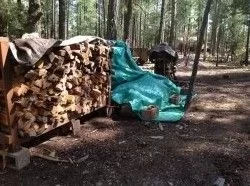 [Hearth.com] "Don't We Have Enough Wood"?