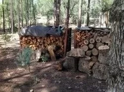 [Hearth.com] "Don't We Have Enough Wood"?