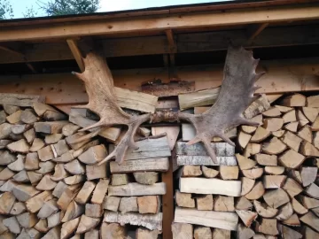 [Hearth.com] 14/15 shed is full