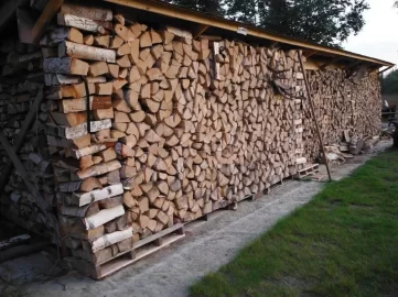 [Hearth.com] 14/15 shed is full