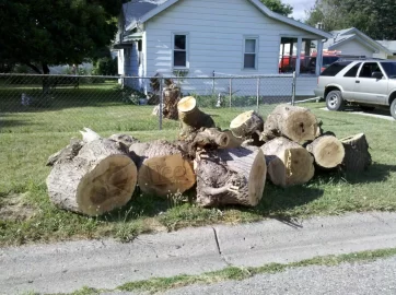 [Hearth.com] Sad looking wood pile