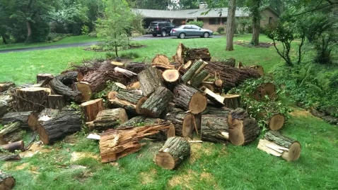 [Hearth.com] Small Black Locust score