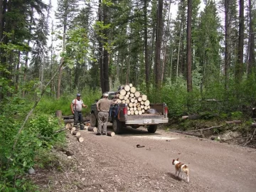 [Hearth.com] Tiny house trailer vs camper trailer