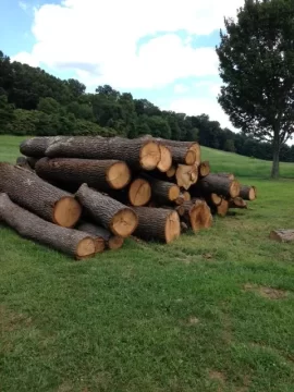 [Hearth.com] Free Locust Logs Chester County PA