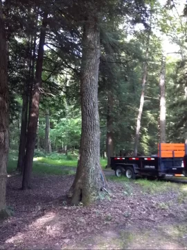 [Hearth.com] Some tree work up at scout camp today....