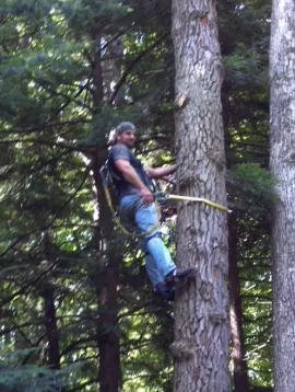 [Hearth.com] Some tree work up at scout camp today....