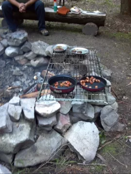 [Hearth.com] Some tree work up at scout camp today....