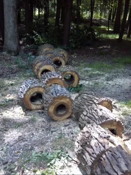 [Hearth.com] Some tree work up at scout camp today....