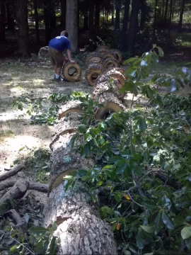 [Hearth.com] Some tree work up at scout camp today....