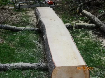 [Hearth.com] Logs for Milling