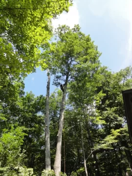 [Hearth.com] "I am a bucket truck"