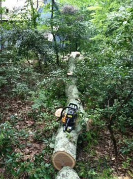 [Hearth.com] "I am a bucket truck"