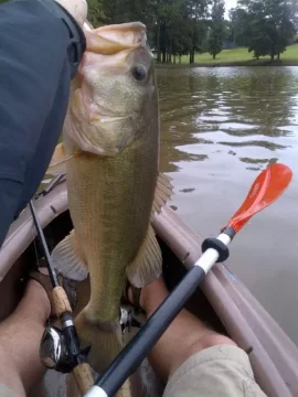 [Hearth.com] Big GA Bass