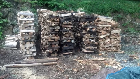 [Hearth.com] A Beginners Wood Pile w/pics