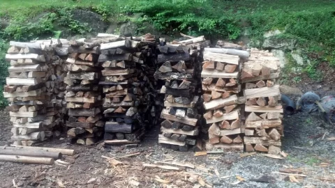 [Hearth.com] A Beginners Wood Pile w/pics