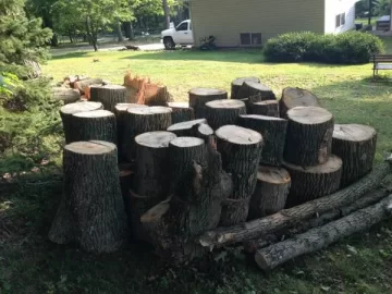 [Hearth.com] Oh Boy! Free Craigslist Firewood!