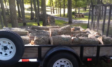 [Hearth.com] Lots of ash trees to be cut down!