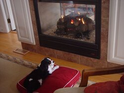 Valor Gas Fireplace DV in cottage