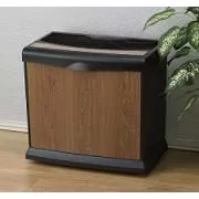 [Hearth.com] Humidifier?